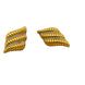 Sea Shell Earrings