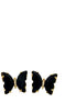 Black Butterfly Crystal Stud Earrings